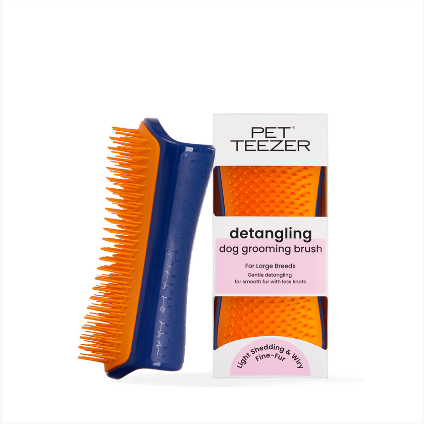 Detangling Dog Grooming Brush — Product Information | Tangleteold 87CB